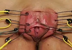 Le ragazze sentono video amatoriali free porno il pollo.